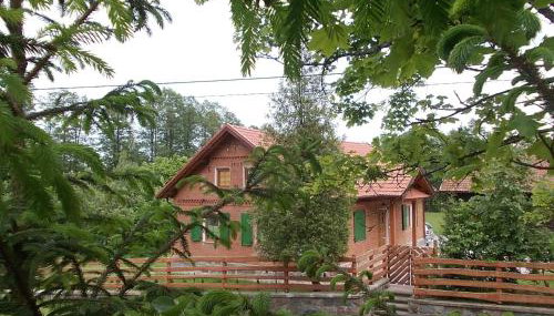 Całoroczny dom GRODZIANKA - Foto 4