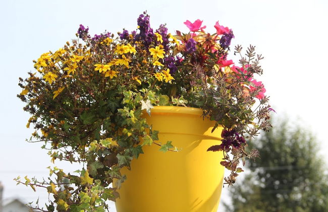 Les Trois Mentors Ghandi, Mandela, Luther King - Foto 24