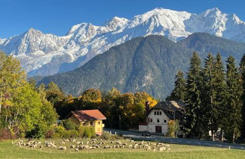 Fizhome Mt Blanc - Photo 55