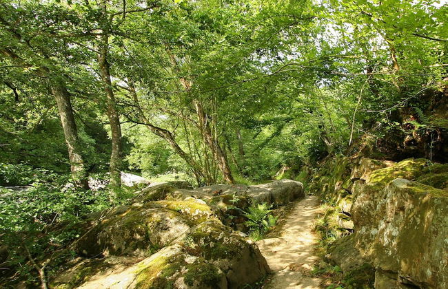 Holiday Home in Aywaille for 6 Person - Photo 18