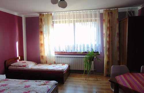 POD RÓŻĄ - Foto 5