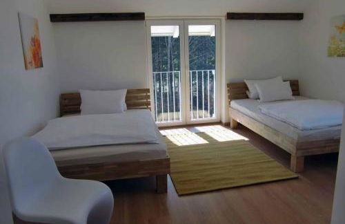 Ferienwohnungen Schönbachtal - Foto 8