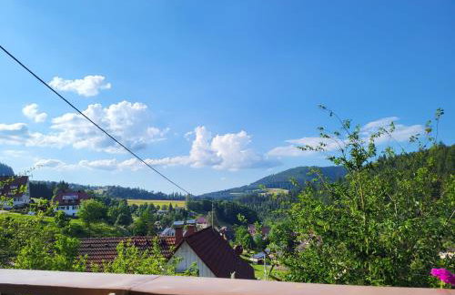 Ferienwohnung Schwarzwaldglück - Foto 2