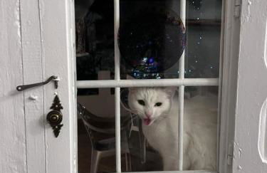 Casa Leto Rural - Foto 1