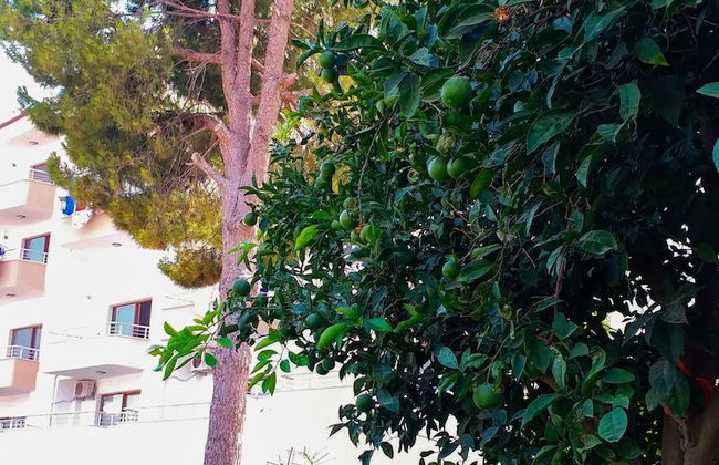 Ertem Apart - Photo 64