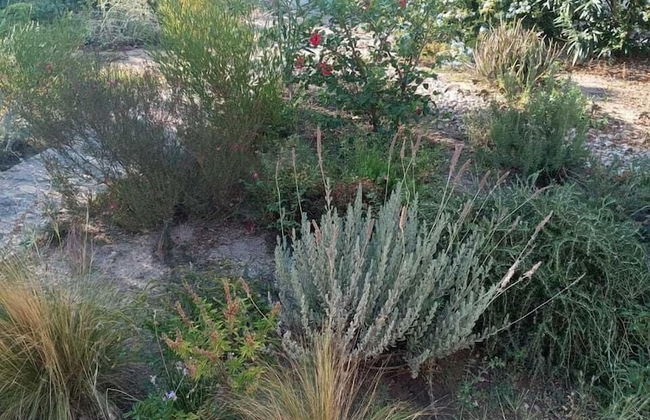 Latmos 1860 - Photo 69