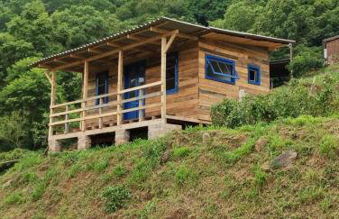 Bangalô dos Araçás - sítio Vô Haack - Foto 11