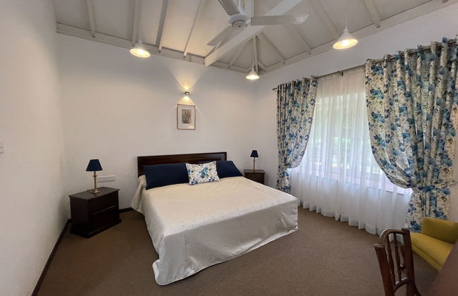 The Blossoms - Photo 3