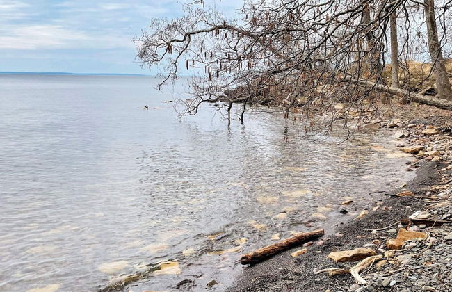 4 Person Holiday Home in Granna - Photo 12