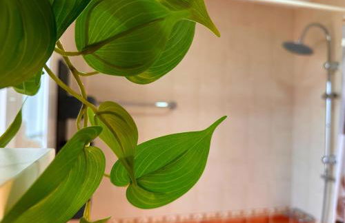 Mika's House Valley - Photo 11