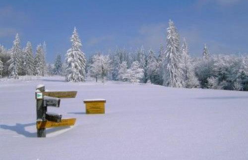 Apartment Landhaus Wildfeuer by Interhome - Foto 21