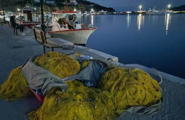 Seagulls - Within walking distance from sea! - Foto 61