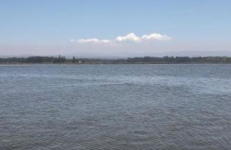 Ria de Aveiro Villa by Mycelia - Foto 61