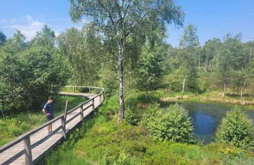 Großes Haus mit Garten, Sauna, Flügel, Kamin uvm - Photo 31