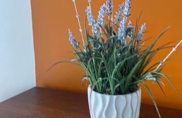 Stunning 1 bed flat in the heart of Greenwich - Foto 19