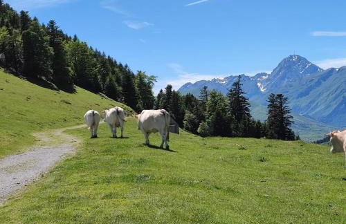 Grand appartement en RDC Vallée de Campan - Foto 19