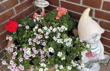 Ferienwohnung Harms - Foto 13