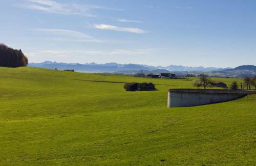 Bauer Haug - Foto 22