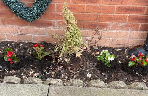 Gorgeous Sandpiper Mews - Foto 21