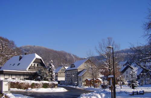 Ferienwohnung Desmecke - Foto 40