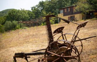 La Casetta di Ross - Foto 43