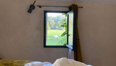 La Madeleine Arles - Foto 4