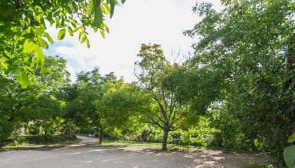 Casas Rurales Los Enebros Nerpio - Foto 4, Garden view