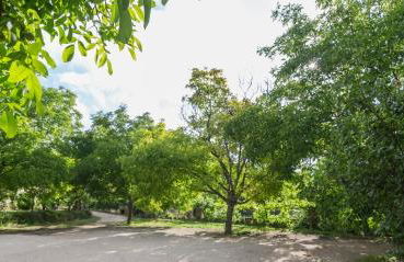 Casas Rurales Los Enebros Nerpio - Foto 4