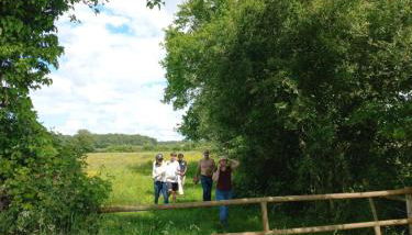 Les hirondelles - Foto 5