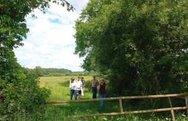 Les hirondelles - Foto 5