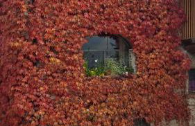 Il Fienile - Photo 12