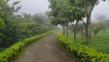 Sitio Na Morada - Foto 4