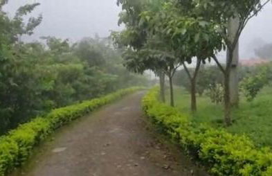 Sitio Na Morada - Foto 4