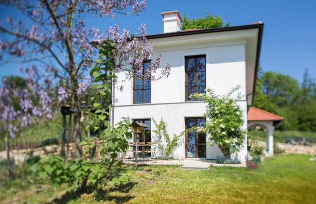 Hirschmugl Domaene am Seggauberg - Foto 51