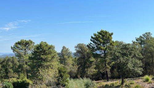 Casa Feliz Con Perros - Foto 5