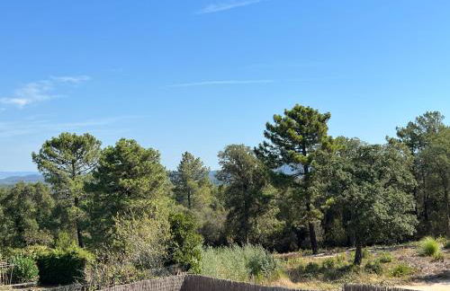 Casa Feliz Con Perros - Foto 5