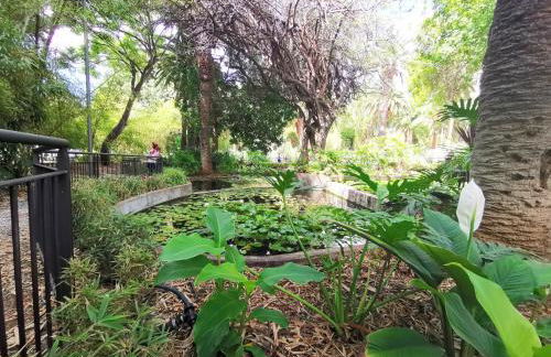 Home2Book Charming Studio Santa Cruz City Views - Foto 37