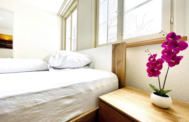 Beautiful Old Building Apartment In The Center - Foto 21