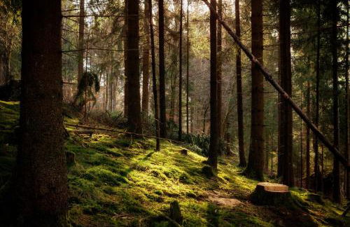 Apartment Kandern - Foto 18