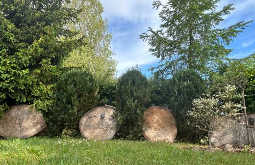 Pod Wierzbą Apartament na Kaszubach - Foto 23