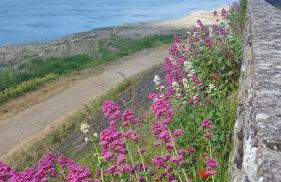 LE COSY LOIRE appart - Photo 17