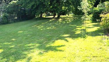 The Linney - Foto 2, Garden, Garden view