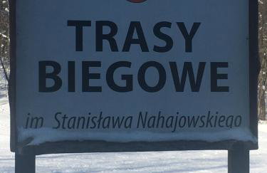 Miętowy Anioł - Foto 77