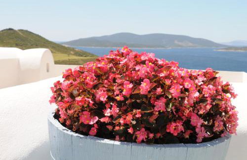 Celini Suites Hotel - Photo 58