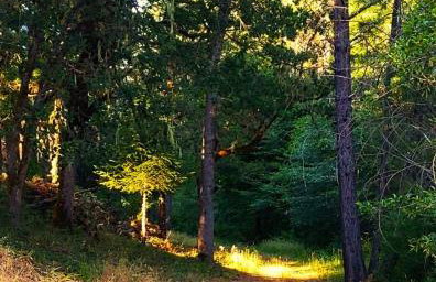 RV42 with Large Deck on a Creek - Foto 24