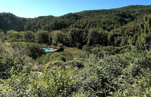 La Casirria - Foto 48