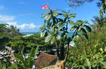 Chalé Tiririca Surf & Mar - Foto 17