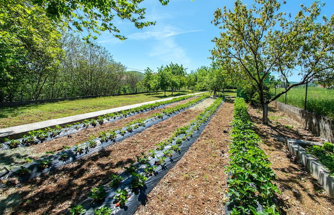 Frida Luxury Beachfront Villa - Foto 53