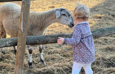 Mas Vermell - Foto 35