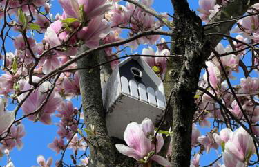 The Beekeeper, country escape & terrace near Parma - Photo 33